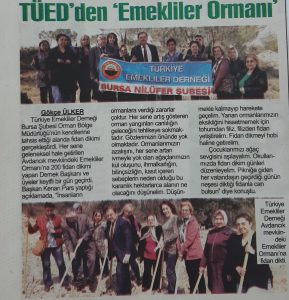 TÜED Uludağ, geleneksel fidan dikimi…