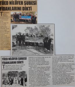 TÜED Uludağ, geleneksel fidan dikimi…