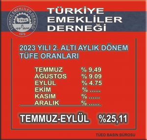 TÜİK Enflasyon Rakamları